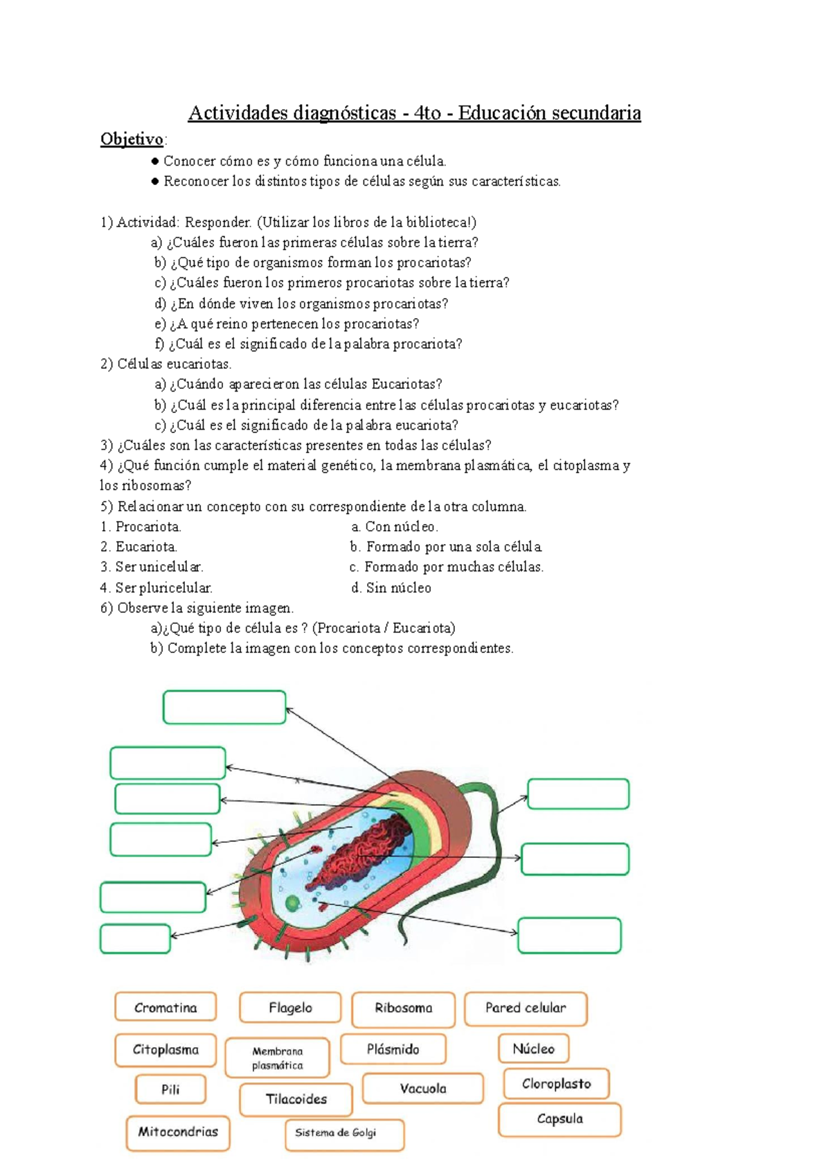ejercicios de biología para secundaria-imagen-para-descargar-e-imprimir