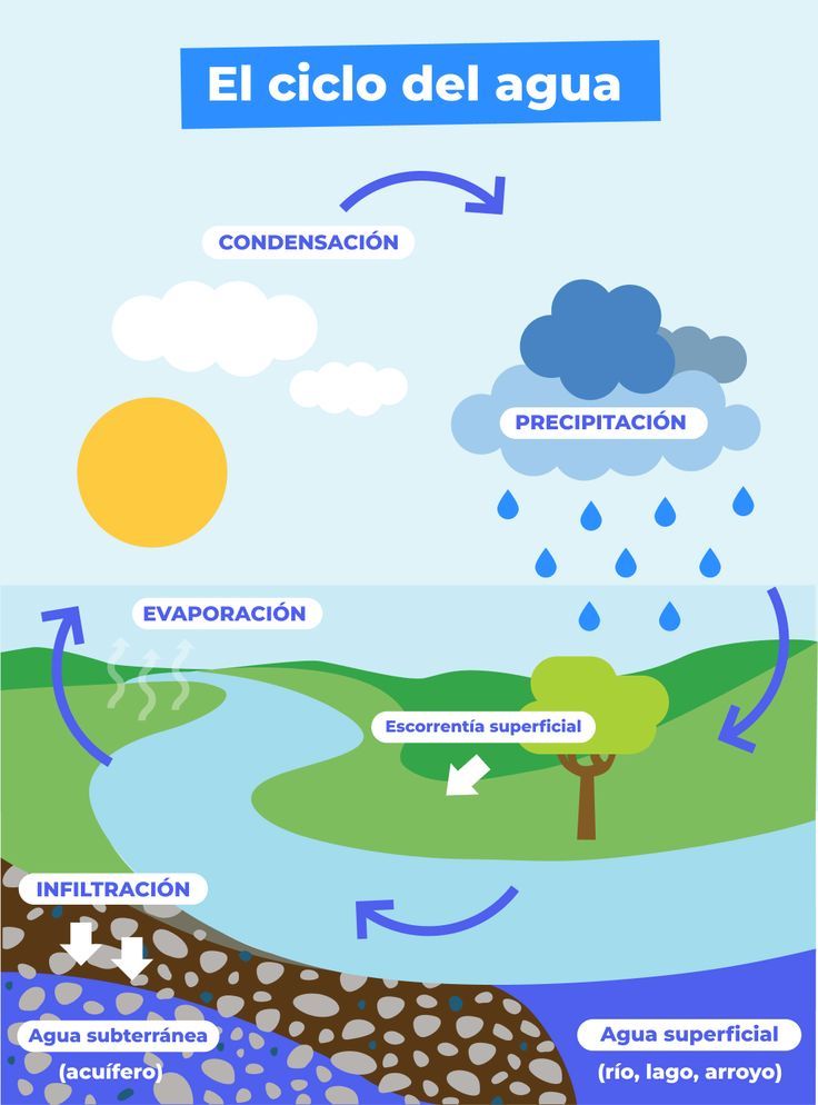 el ciclo del agua para primaria-imagen-para-descargar-e-imprimir